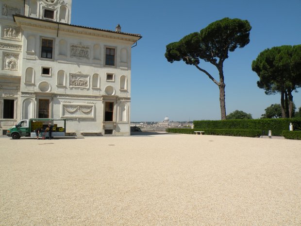  Villa Médicis, pin parasol